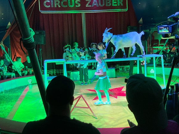 Thema Projektwoche Zirkus 2024 Thema Projektwoche Zirkus 2024